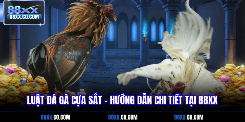 luật đá gà cựa sắt