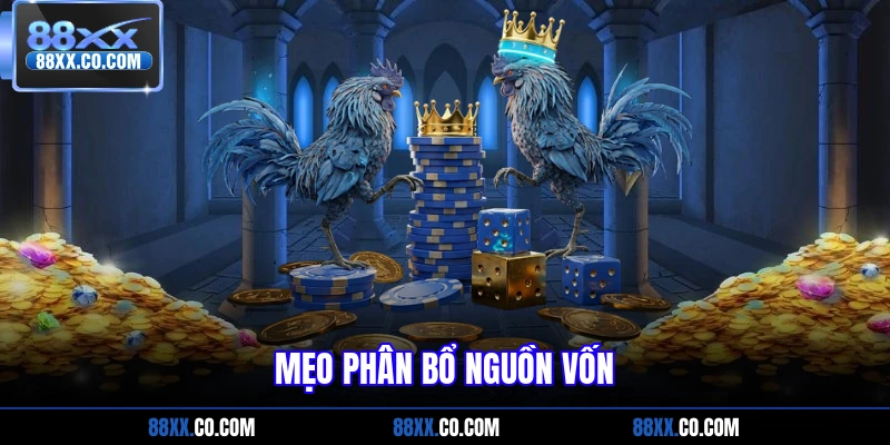 Mẹo phân bổ nguồn vốn