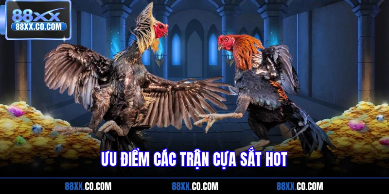 Ưu điểm các trận cựa sắt hot